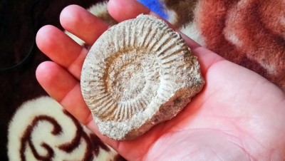 DSC_0758.JPG (4.47 MiB) Przejrzano 16188 razy DSC_0758.JPG