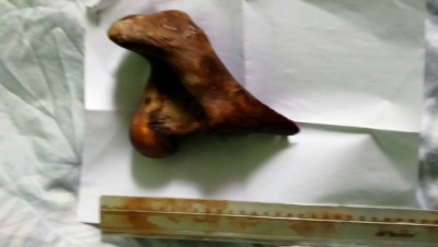 DSC_0760.JPG (2.75 MiB) Przejrzano 3891 razy DSC_0760.JPG