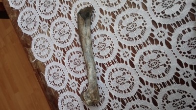 DSC_0962.JPG (4.07 MiB) Przejrzano 2853 razy DSC_0962.JPG