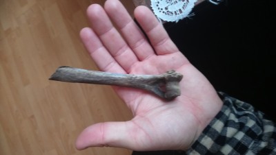 DSC_0959.JPG (3.64 MiB) Przejrzano 2853 razy DSC_0959.JPG