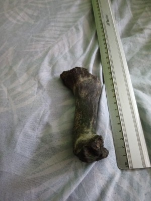 DSC_1112_Easy-Resize.com.jpg (239.06 KiB) Przejrzano 15476 razy DSC_1112_Easy-Resize.com.jpg