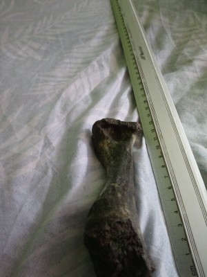 DSC_1113_Easy-Resize.com.jpg (227.59 KiB) Przejrzano 15476 razy DSC_1113_Easy-Resize.com.jpg