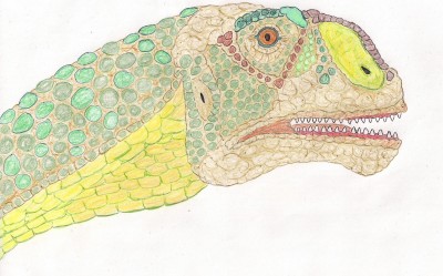 Malawizaur głowa.jpg