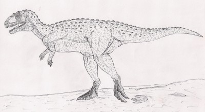 Eoabelizaur.jpg