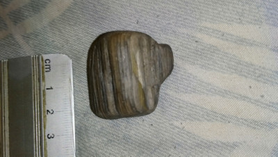 DSC_1413.JPG (3.44 MiB) Przejrzano 3233 razy DSC_1413.JPG