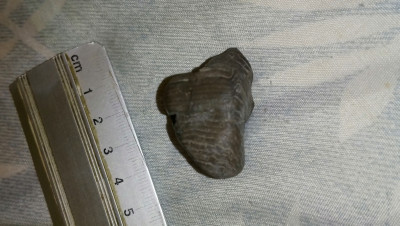 DSC_1415.JPG (3.93 MiB) Przejrzano 3233 razy DSC_1415.JPG