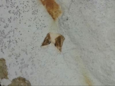 DSC_1479.JPG (3.87 MiB) Przejrzano 2320 razy DSC_1479.JPG