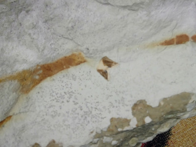 DSC_1478.JPG (4.17 MiB) Przejrzano 2320 razy DSC_1478.JPG