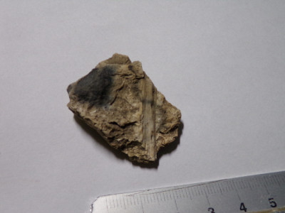 100_0307.JPG (153.39 KiB) Przejrzano 3513 razy 100_0307.JPG