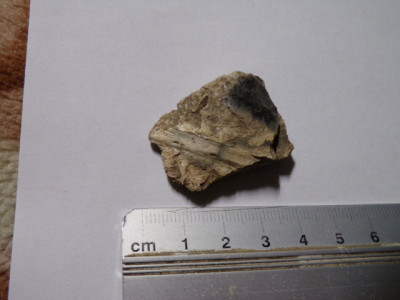 100_0303.JPG (164.88 KiB) Przejrzano 3508 razy 100_0303.JPG