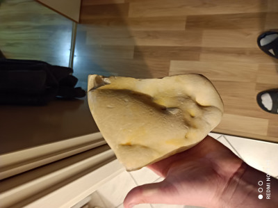 IMG_20210313_182142.jpg (2.62 MiB) Przejrzano 13525 razy IMG_20210313_182142.jpg