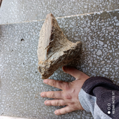 IMG_20210603_195425.jpg (3.28 MiB) Przejrzano 11433 razy IMG_20210603_195425.jpg