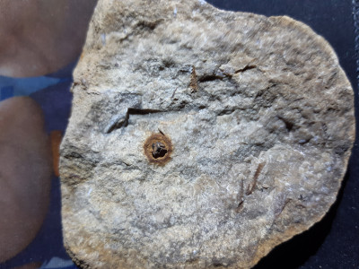 20210723_165214.jpg (3.86 MiB) Przejrzano 11036 razy 20210723_165214.jpg