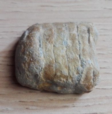 IMG_20210802_124509.jpg (1.28 MiB) Przejrzano 2147 razy IMG_20210802_124509.jpg