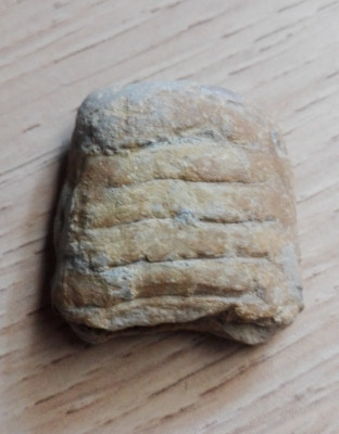 IMG_20210802_124441.jpg (1.05 MiB) Przejrzano 2147 razy IMG_20210802_124441.jpg