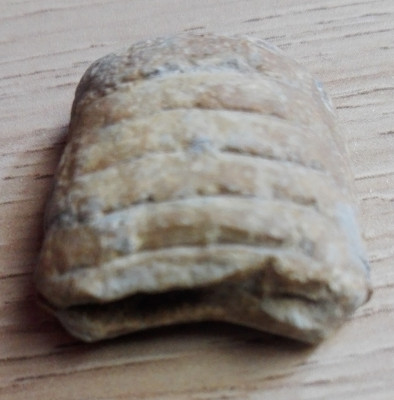 IMG_20210802_124414.jpg (1.04 MiB) Przejrzano 2147 razy IMG_20210802_124414.jpg