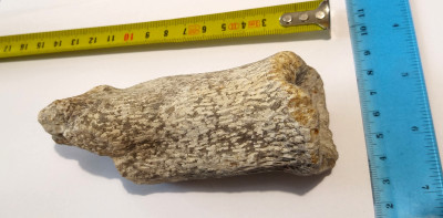 20210919_135640_HDR.jpg (500.44 KiB) Przejrzano 2543 razy 20210919_135640_HDR.jpg