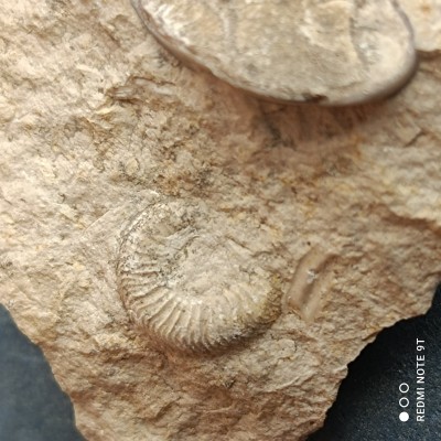 IMG_20220508_115409.jpg (2.31 MiB) Przejrzano 1839 razy IMG_20220508_115409.jpg