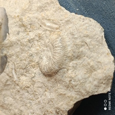 IMG_20220508_115357.jpg (2.23 MiB) Przejrzano 1839 razy IMG_20220508_115357.jpg