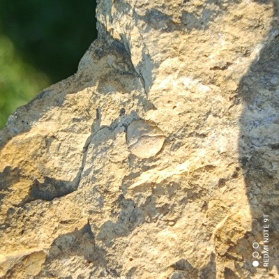 IMG_20220509_181631.jpg (2.92 MiB) Przejrzano 2968 razy IMG_20220509_181631.jpg