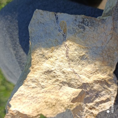 IMG_20220509_181552.jpg (3.37 MiB) Przejrzano 3033 razy IMG_20220509_181552.jpg