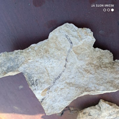 IMG_20220509_182228.jpg (3.07 MiB) Przejrzano 2964 razy IMG_20220509_182228.jpg