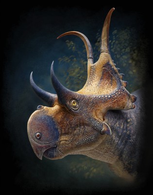 Diabloceratops.jpg