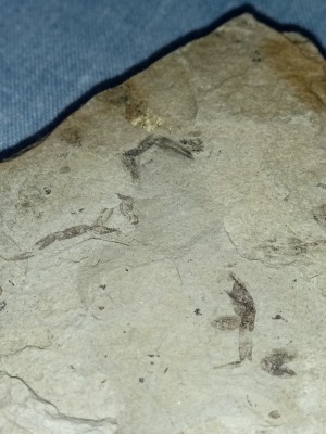 IMG_20221231_135257.jpg (2.81 MiB) Przejrzano 8287 razy IMG_20221231_135257.jpg