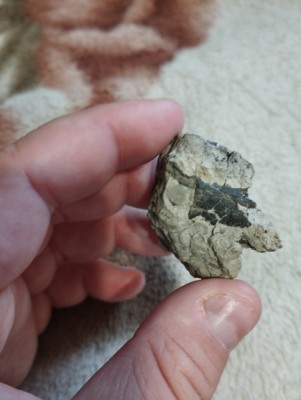 IMG_20230319_172741_Easy-Resize.com.jpg (75.74 KiB) Przejrzano 2421 razy IMG_20230319_172741_Easy-Resize.com.jpg