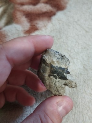 IMG_20230319_172806_Easy-Resize.com.jpg (93.45 KiB) Przejrzano 2408 razy IMG_20230319_172806_Easy-Resize.com.jpg