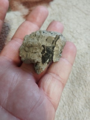 IMG_20230319_172856_Easy-Resize.com.jpg (77.12 KiB) Przejrzano 2421 razy IMG_20230319_172856_Easy-Resize.com.jpg