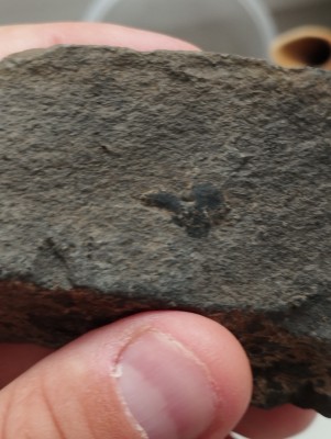 IMG_20230501_193954.jpg (3.89 MiB) Przejrzano 3589 razy IMG_20230501_193954.jpg