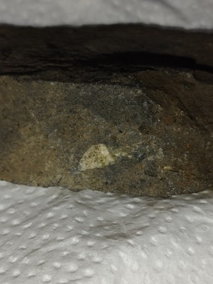 IMG_20230501_193516.jpg (3.01 MiB) Przejrzano 3676 razy IMG_20230501_193516.jpg