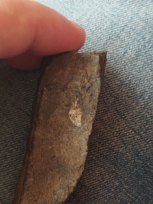 IMG_20230502_115159.jpg (3.4 MiB) Przejrzano 3778 razy IMG_20230502_115159.jpg