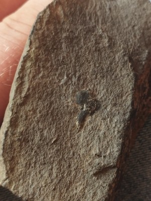 IMG_20230502_115144.jpg (3.92 MiB) Przejrzano 3572 razy IMG_20230502_115144.jpg