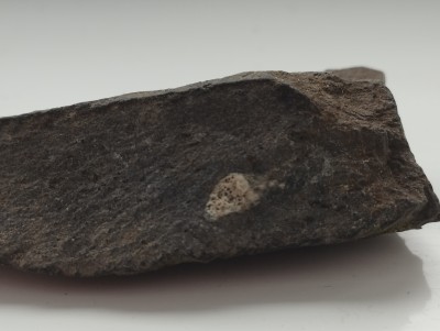 IMG_20230506_174655.jpg (2.8 MiB) Przejrzano 3583 razy IMG_20230506_174655.jpg