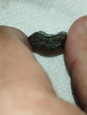 IMG_20230507_190429.jpg (2.32 MiB) Przejrzano 7192 razy IMG_20230507_190429.jpg