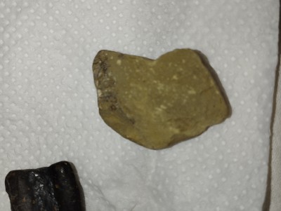 IMG_20230507_190537.jpg (2.98 MiB) Przejrzano 7192 razy IMG_20230507_190537.jpg