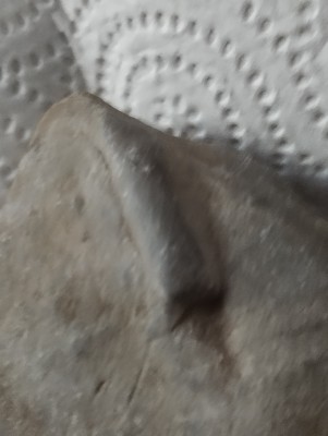 IMG_20230512_182051.jpg (2.48 MiB) Przejrzano 2552 razy IMG_20230512_182051.jpg