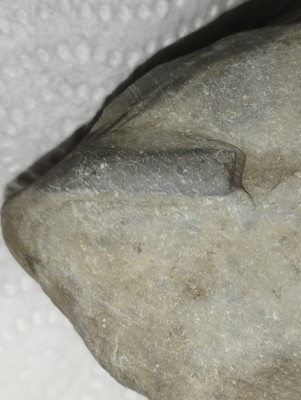 IMG_20230512_190224.jpg (3.18 MiB) Przejrzano 2753 razy IMG_20230512_190224.jpg