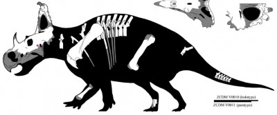 Sinoceratops BSL.jpg