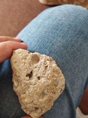 IMG_20230913_124709_Easy-Resize.com.jpg (92.45 KiB) Przejrzano 5339 razy IMG_20230913_124709_Easy-Resize.com.jpg