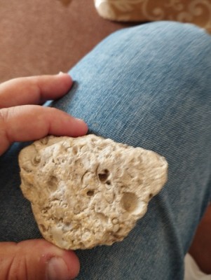 IMG_20230913_124718_Easy-Resize.com.jpg (84.18 KiB) Przejrzano 5537 razy IMG_20230913_124718_Easy-Resize.com.jpg