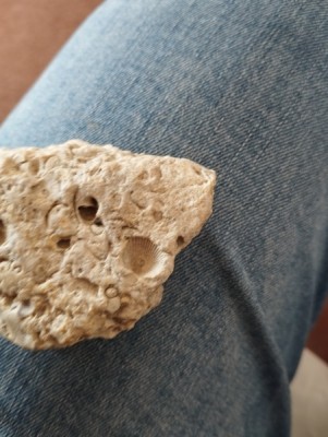 IMG_20230913_124727_Easy-Resize.com.jpg (91.44 KiB) Przejrzano 5537 razy IMG_20230913_124727_Easy-Resize.com.jpg