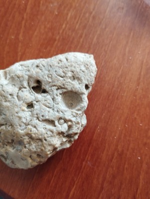 IMG_20230913_135805_Easy-Resize.com.jpg (89.38 KiB) Przejrzano 5243 razy IMG_20230913_135805_Easy-Resize.com.jpg