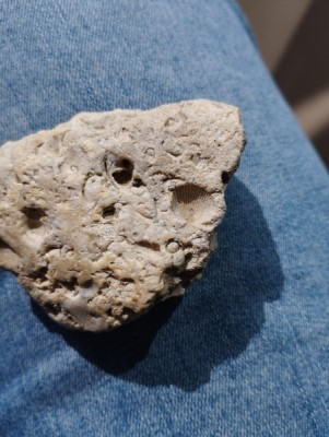 IMG_20230913_162922_Easy-Resize.com.jpg (96.33 KiB) Przejrzano 5324 razy IMG_20230913_162922_Easy-Resize.com.jpg