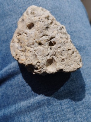 IMG_20230913_162934_Easy-Resize.com.jpg (92.83 KiB) Przejrzano 4921 razy IMG_20230913_162934_Easy-Resize.com.jpg