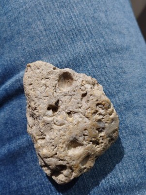 IMG_20230913_163010_Easy-Resize.com.jpg (89.16 KiB) Przejrzano 5540 razy IMG_20230913_163010_Easy-Resize.com.jpg