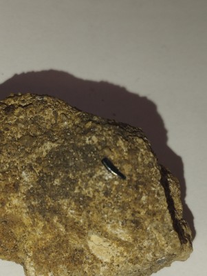 IMG_20231014_165737.jpg (2.91 MiB) Przejrzano 3411 razy IMG_20231014_165737.jpg