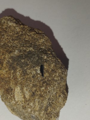 IMG_20231014_165759.jpg (3.24 MiB) Przejrzano 3408 razy IMG_20231014_165759.jpg